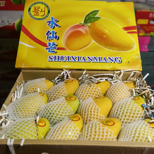 刘字牌水仙芒