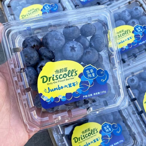 限量版怡颗莓