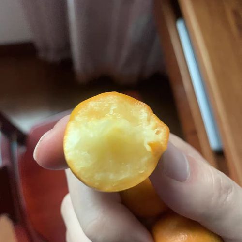 微信图片_