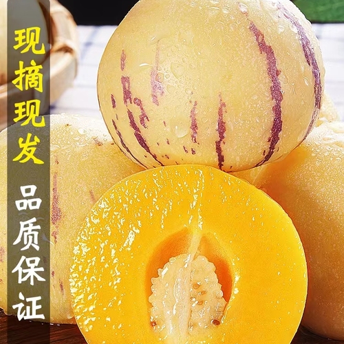 微信图片_