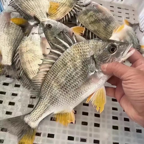 微信图片_
