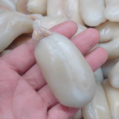 目鱼蛋