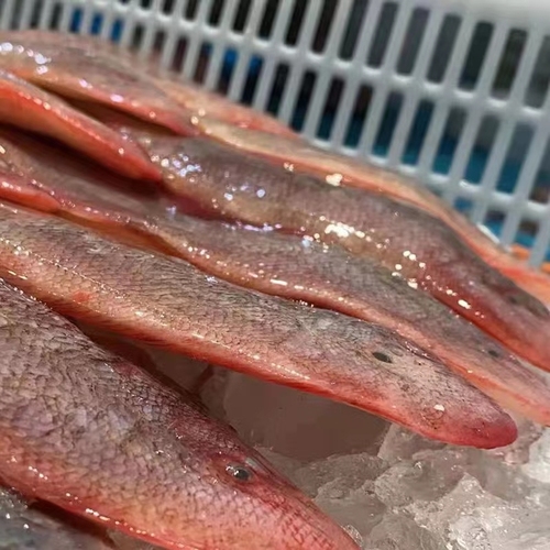 微信图片_