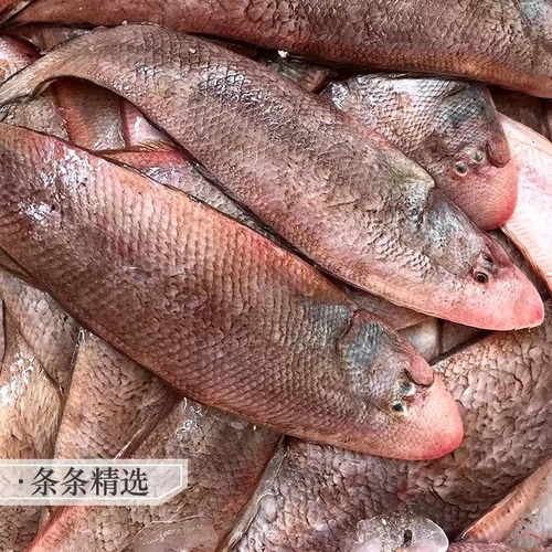 微信图片_