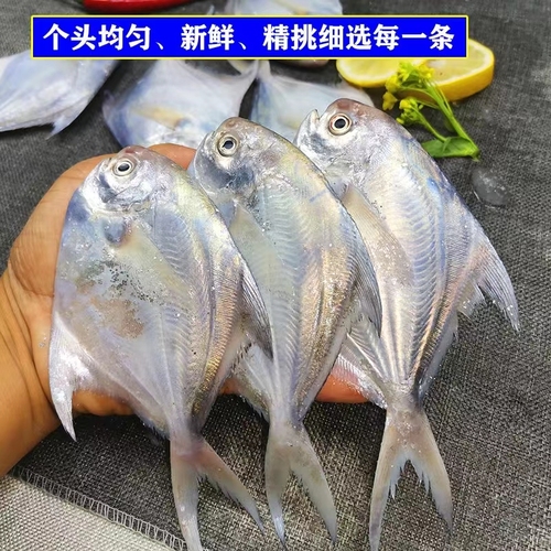 微信图片_
