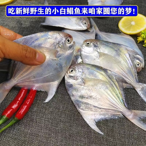 微信图片_