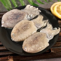 小目鱼_2