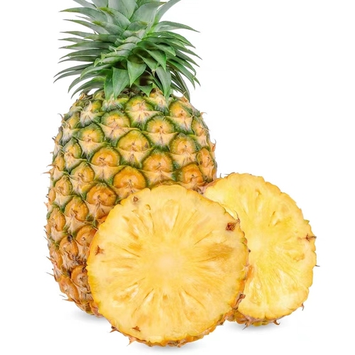 海南树熟凤梨（凤梨哥）