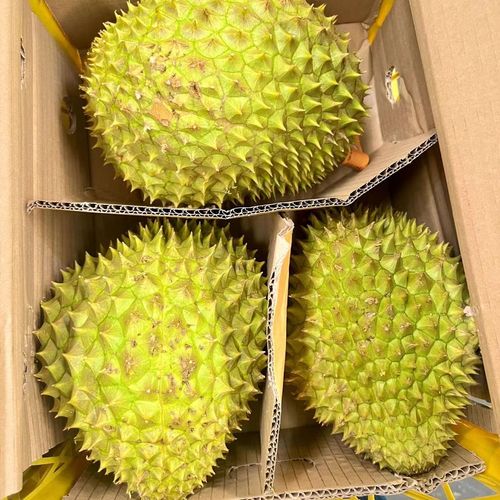 干尧榴莲