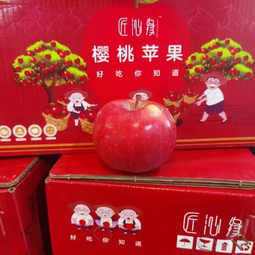 微信图片_