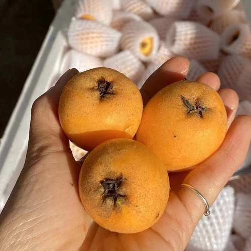 微信图片_