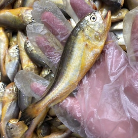 黄梅丁