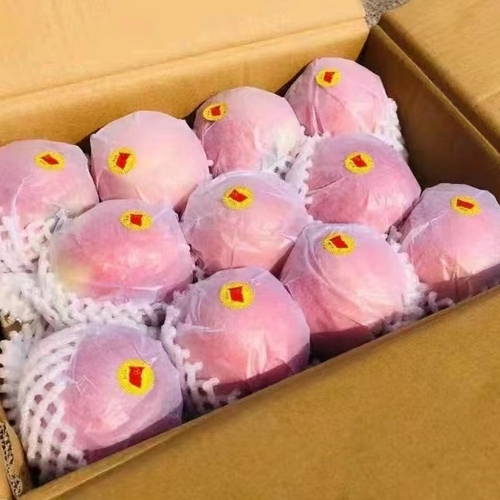 微信图片_