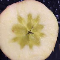依杆旗阿克苏_4