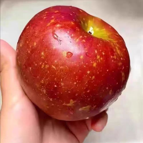 微信图片_