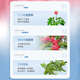 牙医生三七花养龈牙膏200g_2