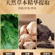 【卓蓝雅】防脱育发洗发露（1号）400ml_2