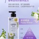 安宝笛香水身体乳400ml（浪漫邂逅/闪耀梦幻）_2
