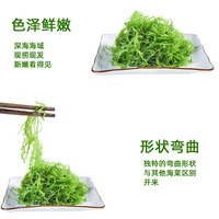 【霞浦直发】醉天舟龙须菜200g*5包/500g*3包_1