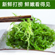 【霞浦直发】醉天舟龙须菜200g*5包/500g*3包_3