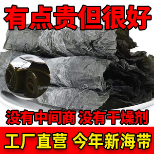 【霞浦直发】醉天舟干海带500g