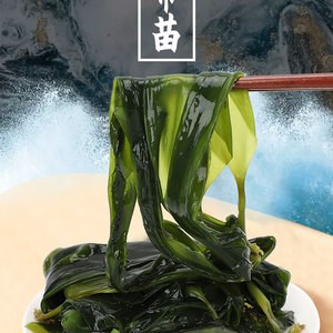 【霞浦直发】醉天舟海带嫩苗258g*5包