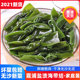 【优选食材】醉天舟盐渍海带结500g*3包_0