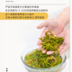 【霞浦直发】醉天舟海带芽头300g*5包_3