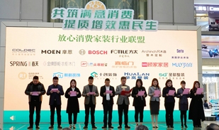 我会牵头成立放心消费家装行业联盟