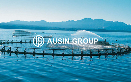 Ausin Group