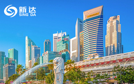 新达国际