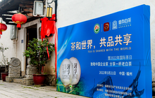 致敬国际茶日，鼎存白茶新品重磅发布