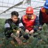 福建福州：电力护航 助力春耕备耕