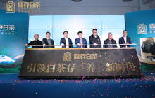 中国白茶存“养”新时代开启，茶产业将走向何方？