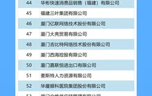 2024福建省服务业民营企业100强