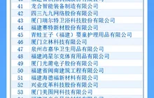 2024福建省创新型民营企业100强