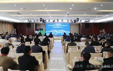 云南省福建总商会应邀参加双柏县招商引资推介会