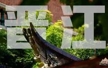 中国产业地理盛典——寻找中国产业高地 · 晋江