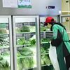 朴朴超市：福州模式催生300亿生鲜帝国，前置仓革命如何改写零售江湖？