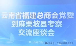 探寻合作新机遇 共促发展新篇章——云南省福建总商会党委赴麻栗坡县开展考察交流