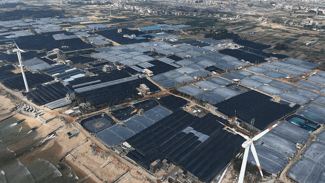 漳浦：渔民抢抓“黄金季” 耕耘“蓝色粮仓”2025317161431.gif