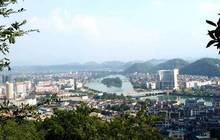 浦城县：做好“土特产”文章