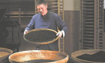 福安：俏销新红茶 氤氲花果香