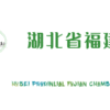 湖北省福建商会秘书长林晶晶到访海南省福建商会交流学习