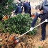福建提前超额完成年度植树造林任务