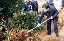 福建提前超额完成年度植树造林任务