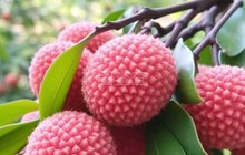 产业纾困不只“救火”更要“造血”