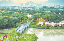 一溪碧水 绽放“五朵金花”