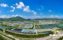 福州农业农村“半年报”出炉