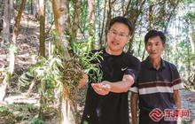 从“一片叶”到“林间百草”的掘金之旅